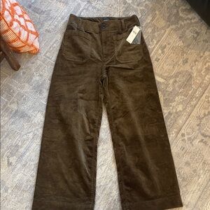 NWT Maeve Anthropologie Colette Brown Corduroy Pants 27  so cute!